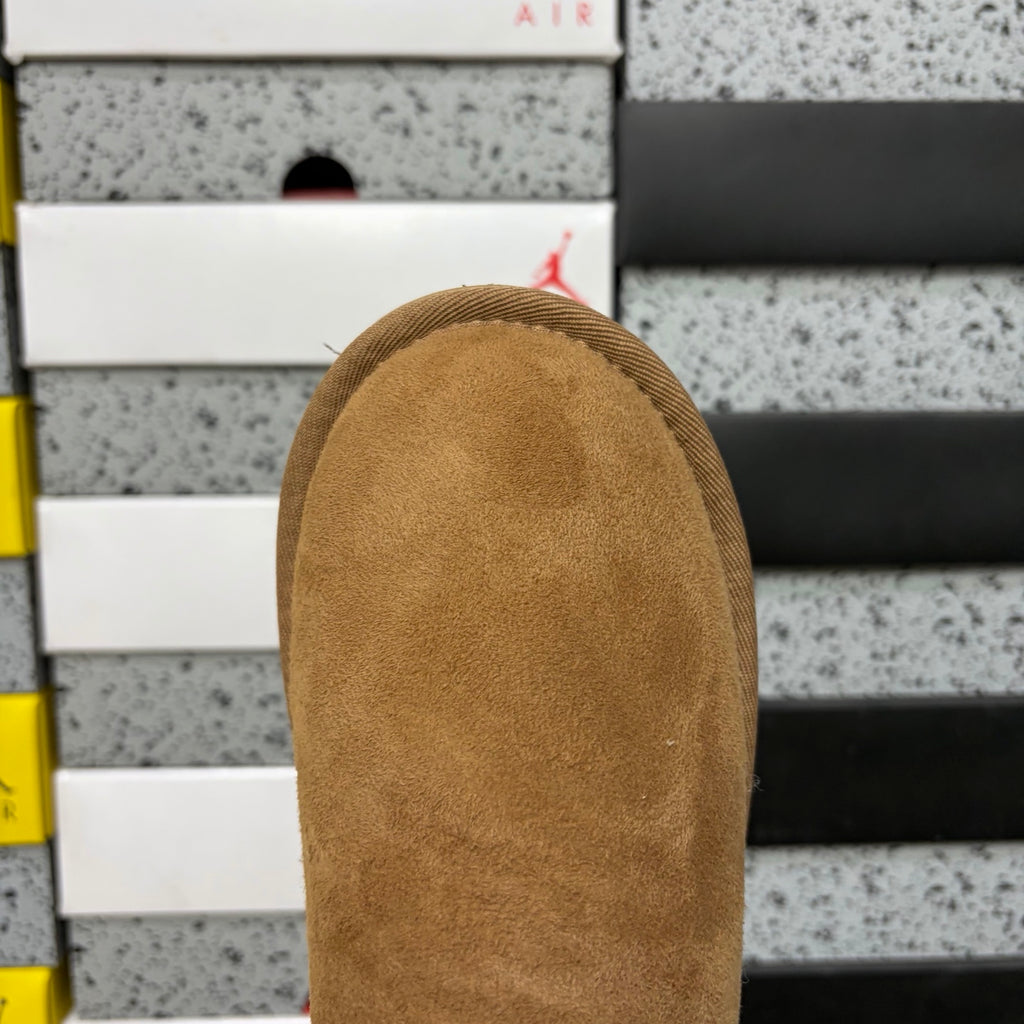 UGG Mini Boot 6109 | Chestnut | EU Sizes 35–44