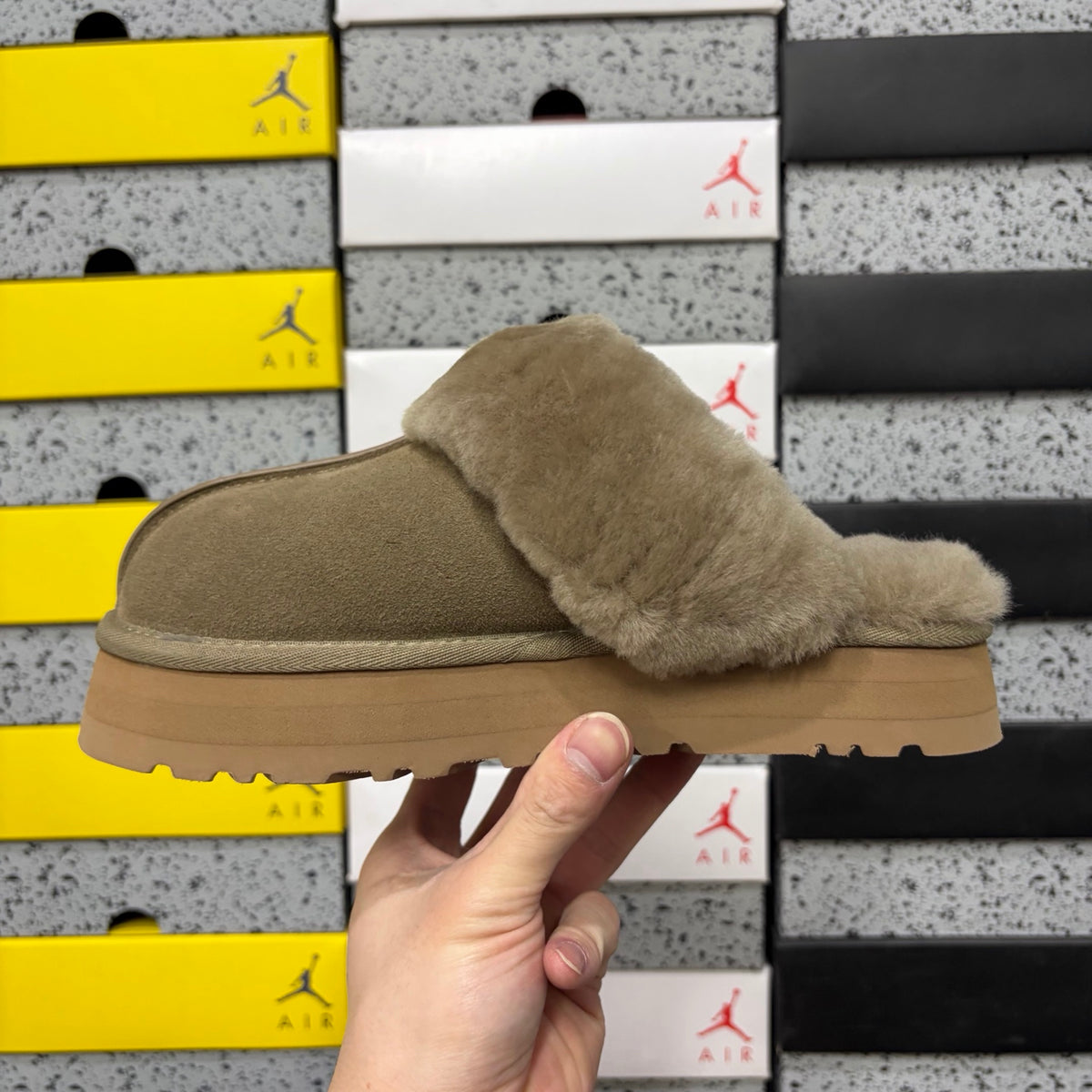 UGG Snow Boots 3cm Star Slippers 2550 | Antelope Brown | Sizes 35-40